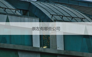 崇左4500元月薪水平分析 聚焦薪資現(xiàn)狀與國營貿(mào)易管理貨物進(jìn)出口行業(yè)